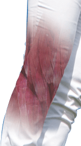 wohlphysio