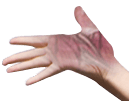 wohlphysio